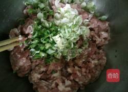 猪肉韭菜包子的做法图解3