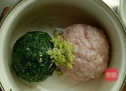 地菜青汁汤水饺的做法图解7