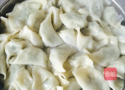 韭菜鸡蛋皮肉馅饺子的做法图解9