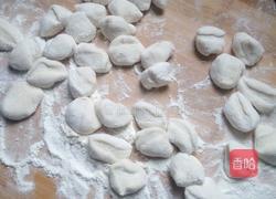 儿童豆角肉水饺（多菜少肉篇的做法图解5