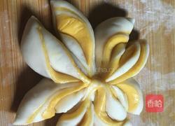 双色菊花卷的做法图解9