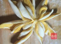 双色菊花卷的做法图解10