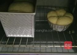 奶香吐司的做法图解7