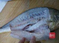 茄汁黄鱼肉的做法图解2