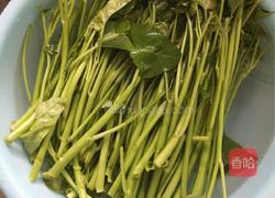 炒空心菜的做法图解1