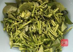 炒空心菜的做法图解3