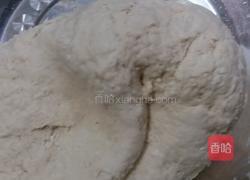 羊肉包子的做法图解2
