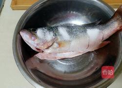 清蒸鲈鱼的做法图解3
