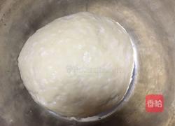 粗粮馒头卷的做法图解4