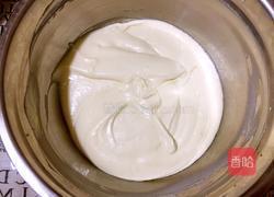 轻芝士蛋糕的做法图解12