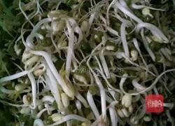 绿豆芽的做法图解5
