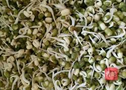 绿豆芽的做法图解4