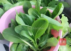 蒜茸小青菜的做法图解1