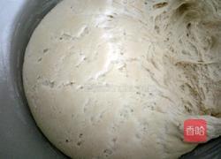 肉丁白菜包子的做法图解11
