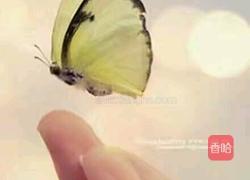 焦糖布丁的做法图解13