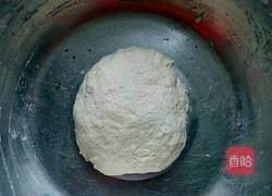 香菇混沌的做法图解2
