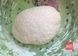 虾仁猪肉饺子的做法图解1