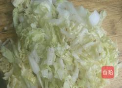 白菜瘦肉粥的做法图解4