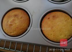 橙味奶油水果杯子蛋糕的做法图解15