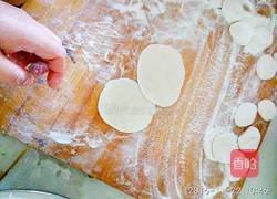 白菜粉条鸡蛋饺子的做法图解4