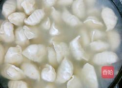白菜粉条鸡蛋饺子的做法图解6
