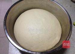 牛角肉松面包的做法图解5