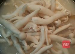 鸡爪白菜蘑菇豆腐汤的做法图解13
