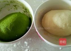 白菜（百财）饺子的做法图解5