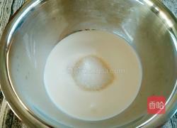黄桃木糠杯的做法图解4