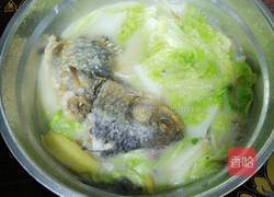 白菜鲫鱼汤的做法图解4