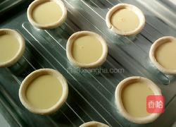 橘子蛋挞的做法图解5
