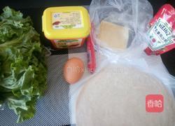 鸡蛋煎饼（快手版）的做法图解1