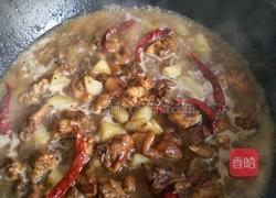 土豆烧鸡的做法图解5