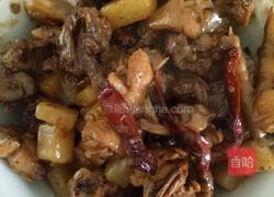 土豆烧鸡的做法图解6