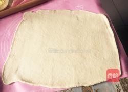 椰皇甜心卷的做法图解5