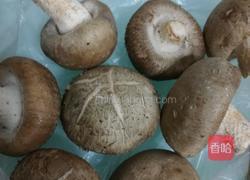 蘑菇襄肉盆景的做法图解3