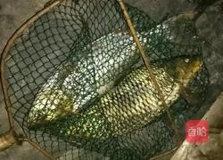 蒜头豆鼓焖白鲢鱼的做法图解1