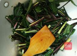 素炒苔子菜的做法图解3