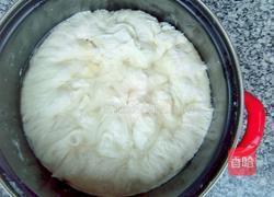 老面馒头和包子的做法图解8