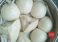 老面馒头和包子的做法图解28
