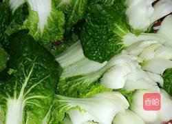 营养素饺的做法图解1