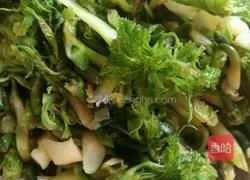 三七芽炒肉末的做法图解2
