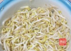 炒豆芽的做法图解1