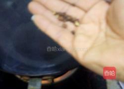 炒豆芽的做法图解3