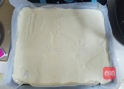 葡萄干奶油蛋糕卷的做法图解12