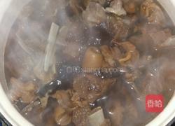 红烧羊肉的做法图解4