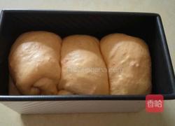 番茄土司（无黄油）的做法图解9