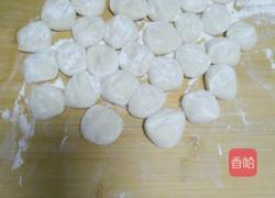 猪肉茴香饺子的做法图解9
