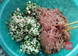 香菇瘦肉饺子的做法图解6