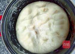 花样馒头(面头发酵)的做法图解8
